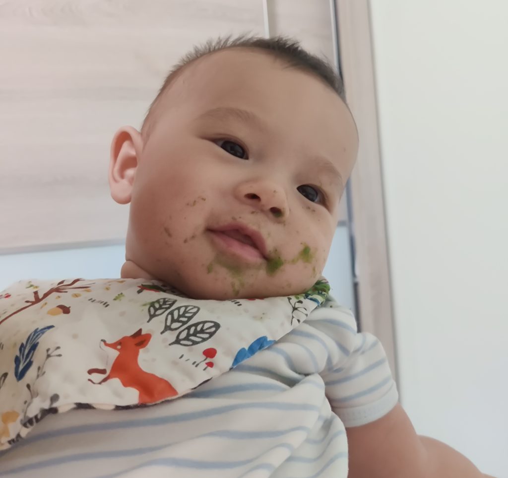 新手媽咪的寶寶副食品小知識：開始時機、添加順序、十倍粥與奶量比例