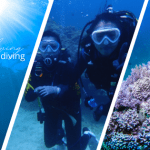 來搭客運高雄到墾丁