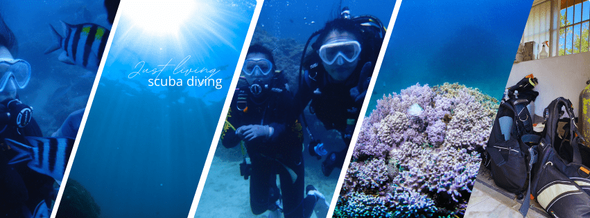 Ginger Sunny Just Living Photo Collage Facebook Cover 1