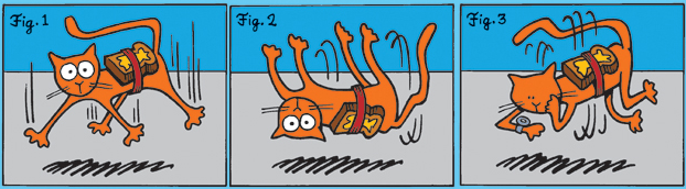 CATO 奶油貓 3 Buttered cat
