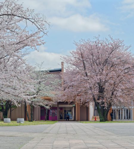 日本文化 : 新的學年不是9月是4月