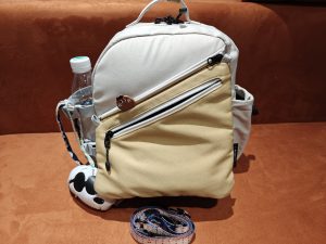 挑戰一個包包去深圳旅遊 5 天 4 夜