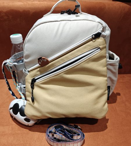 挑戰一個包包去深圳旅遊 5 天 4 夜