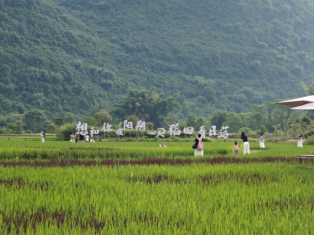 中國桂林旅遊|陽朔|十里畫廊 6 IMG20250606172825