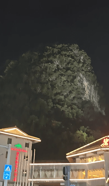 中國桂林旅遊|陽朔|十里畫廊 18 陰森森