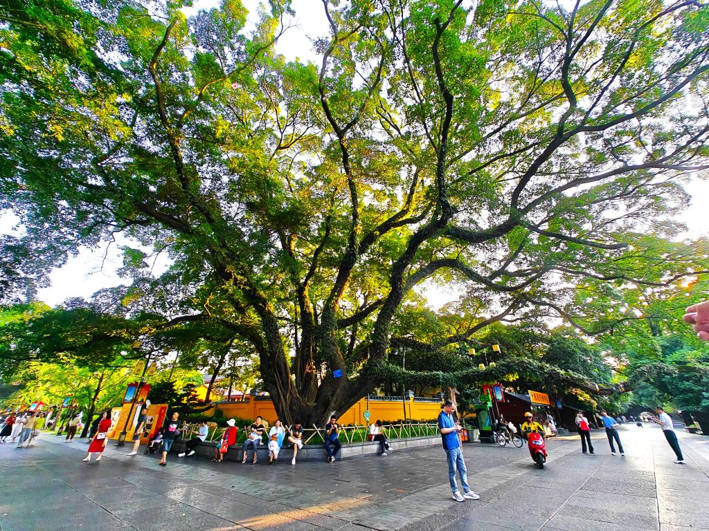 中國桂林旅遊|桂林|貓的天空之城概念書店MomiBook 18 IMG20250607181002