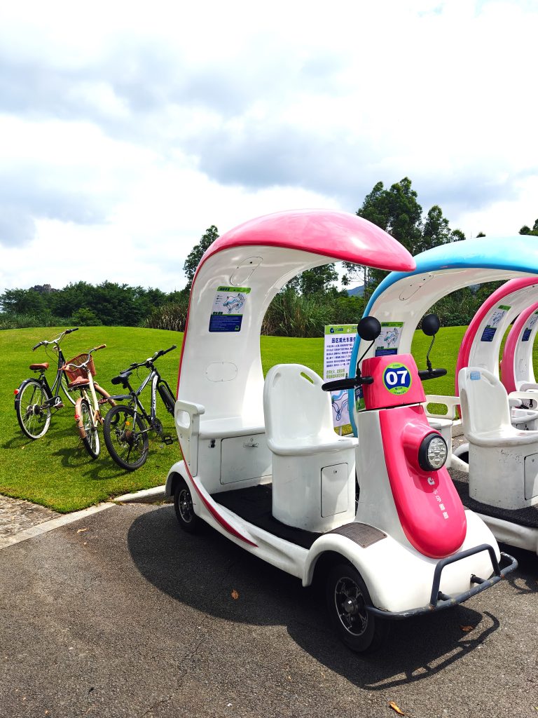 中國桂林旅遊景點｜小馬嘟嘟天鵝湖體驗｜廣州北京街逛街購物攻略