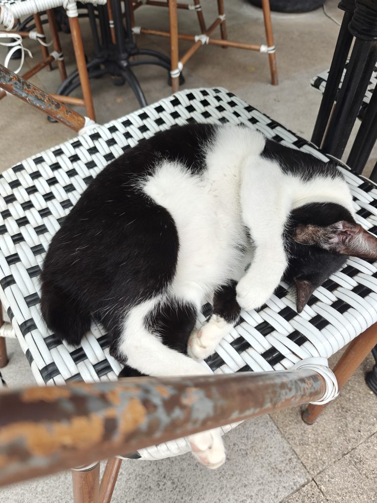 菲律賓馬尼拉王城區|聖奧古斯丁教堂+聖地牙哥堡門票遊記 10 IMG20250829120833