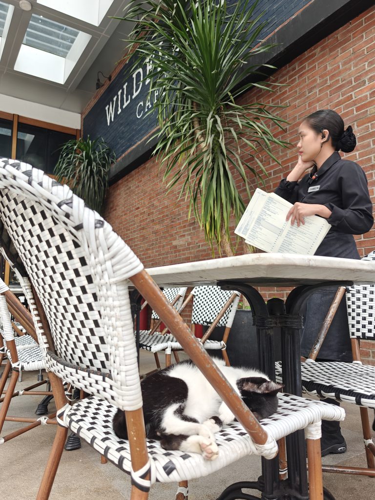 菲律賓馬尼拉王城區|聖奧古斯丁教堂+聖地牙哥堡門票遊記 11 IMG20250829120842