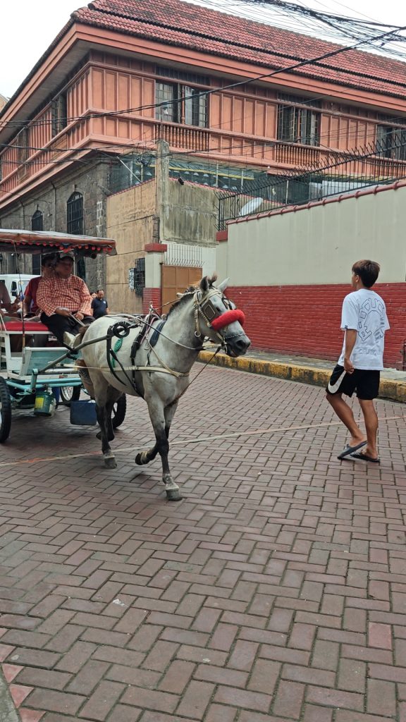 菲律賓馬尼拉王城區|聖奧古斯丁教堂+聖地牙哥堡門票遊記 35 IMG20250829161719 01