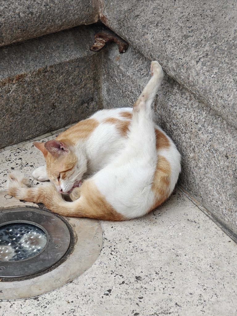 菲律賓馬尼拉王城區|聖奧古斯丁教堂+聖地牙哥堡門票遊記 12 IMG20250829162651