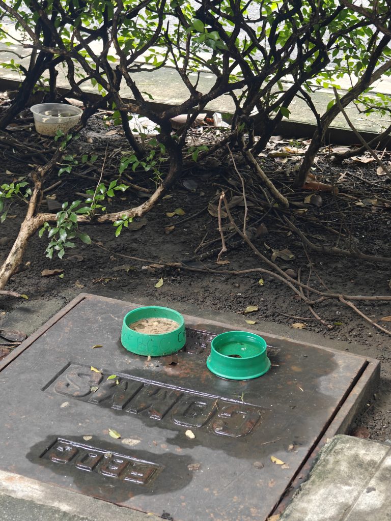 菲律賓馬尼拉王城區|聖奧古斯丁教堂+聖地牙哥堡門票遊記 14 IMG20250901143756