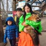 藏王狐狸村冬季遊記｜抱狐狸體驗超療癒＋仙台出發交通指南