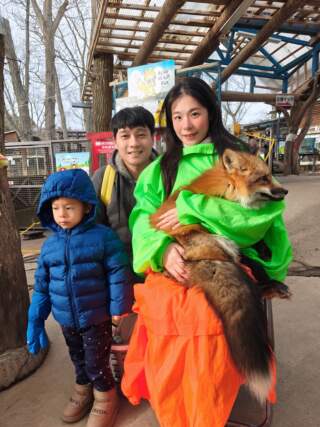 藏王狐狸村冬季遊記｜抱狐狸體驗超療癒＋仙台出發交通指南