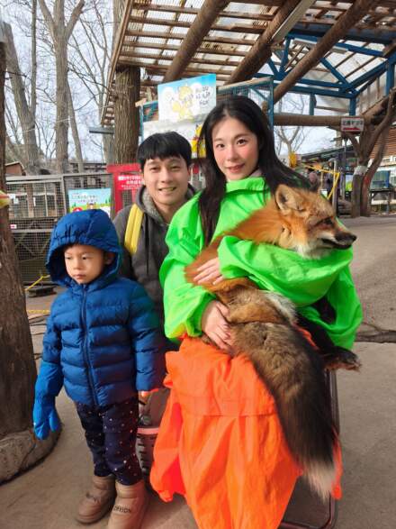 藏王狐狸村冬季遊記｜抱狐狸體驗超療癒＋仙台出發交通指南